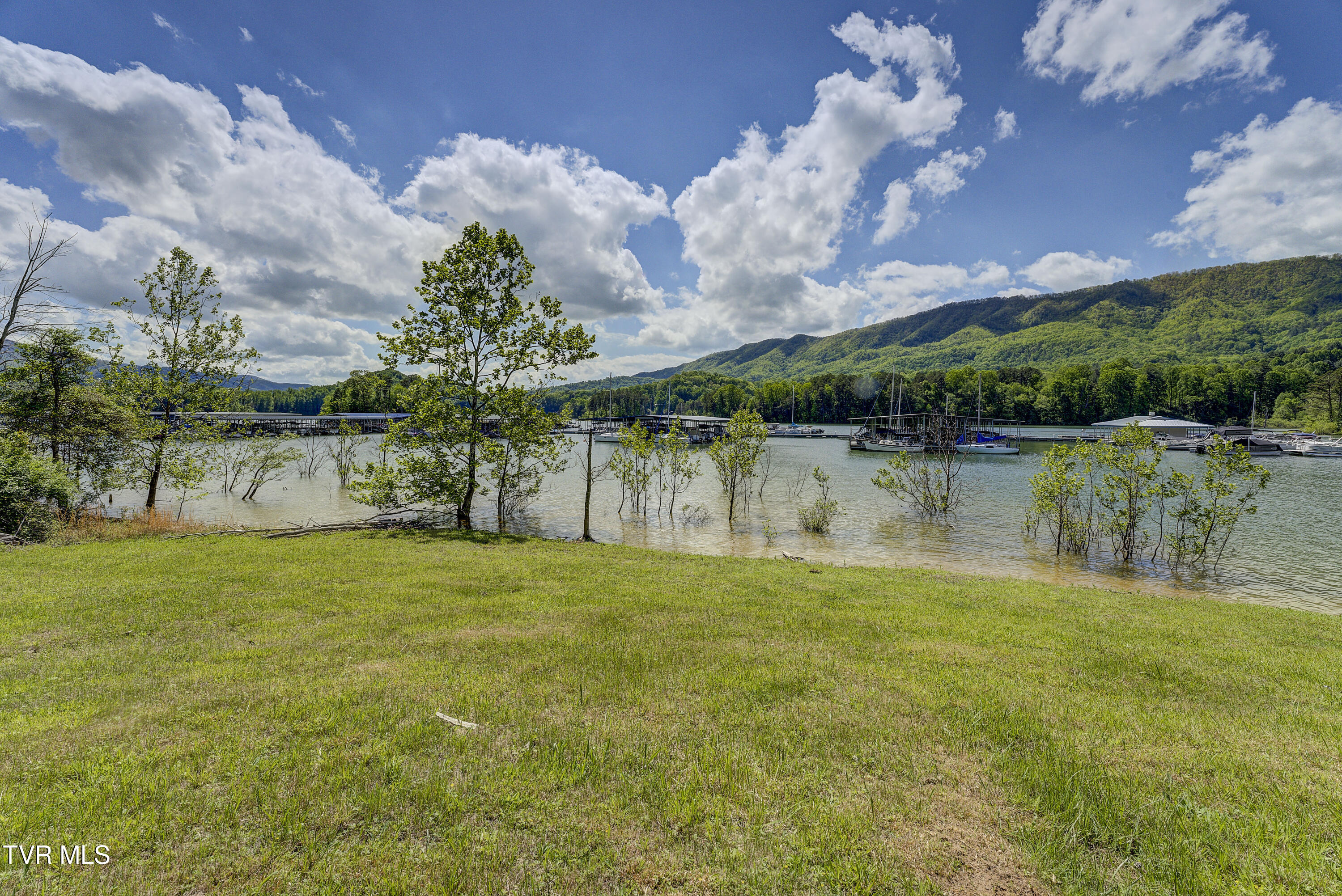 Tbd Big Oak Drive, Butler, Tennessee image 11