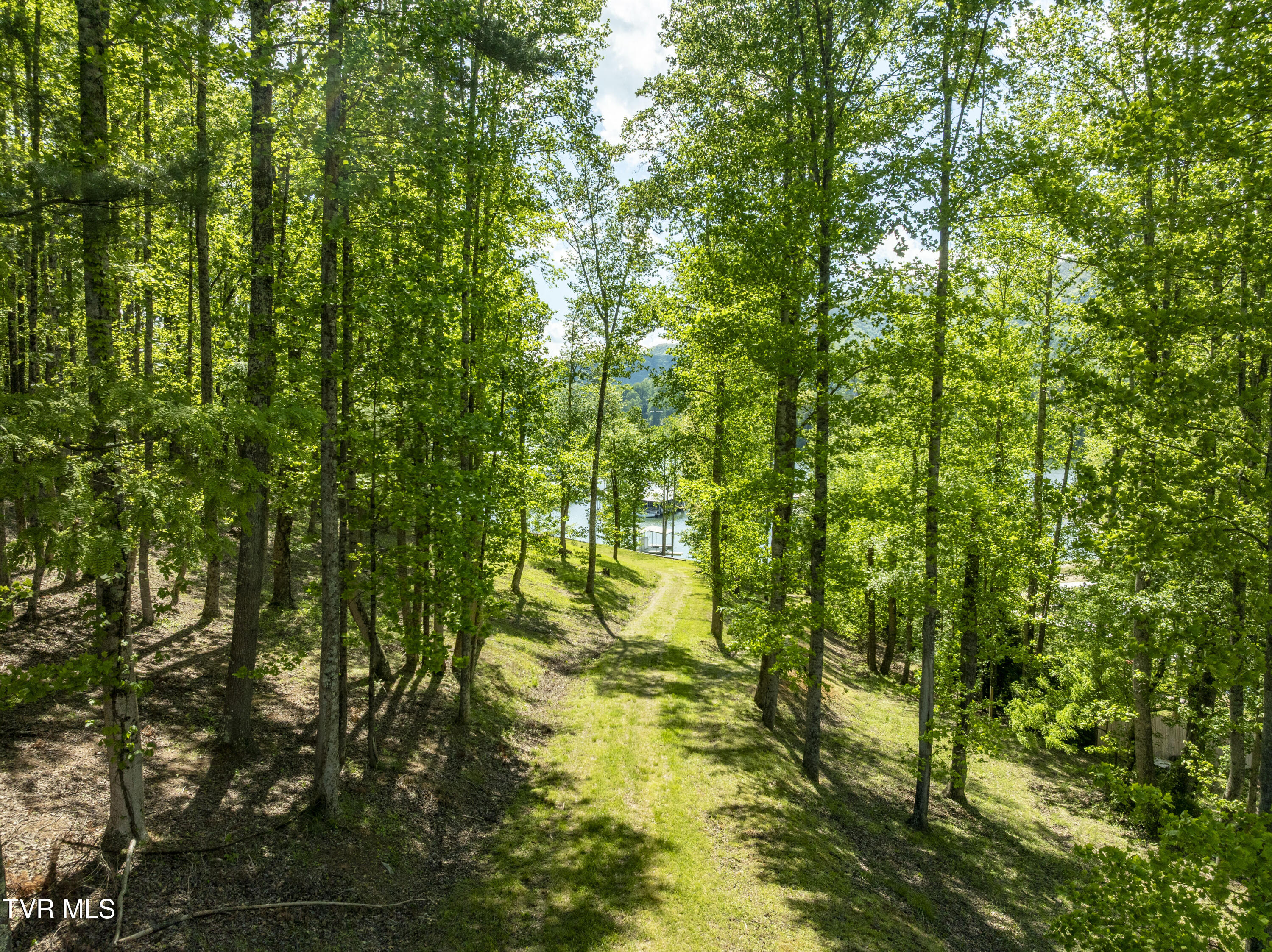Tbd Big Oak Drive, Butler, Tennessee image 26