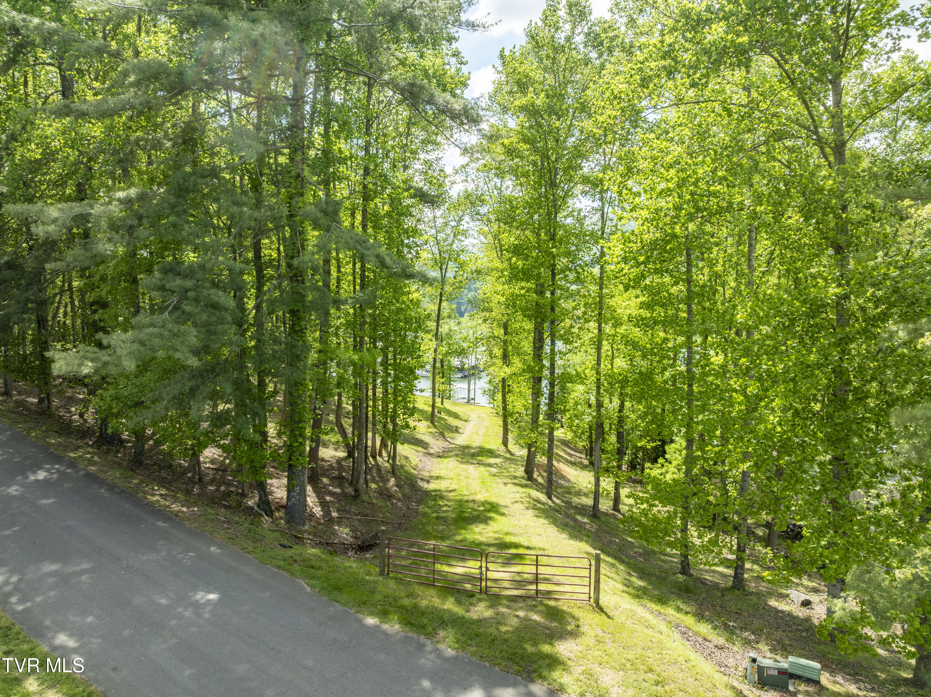 Tbd Big Oak Drive, Butler, Tennessee image 30