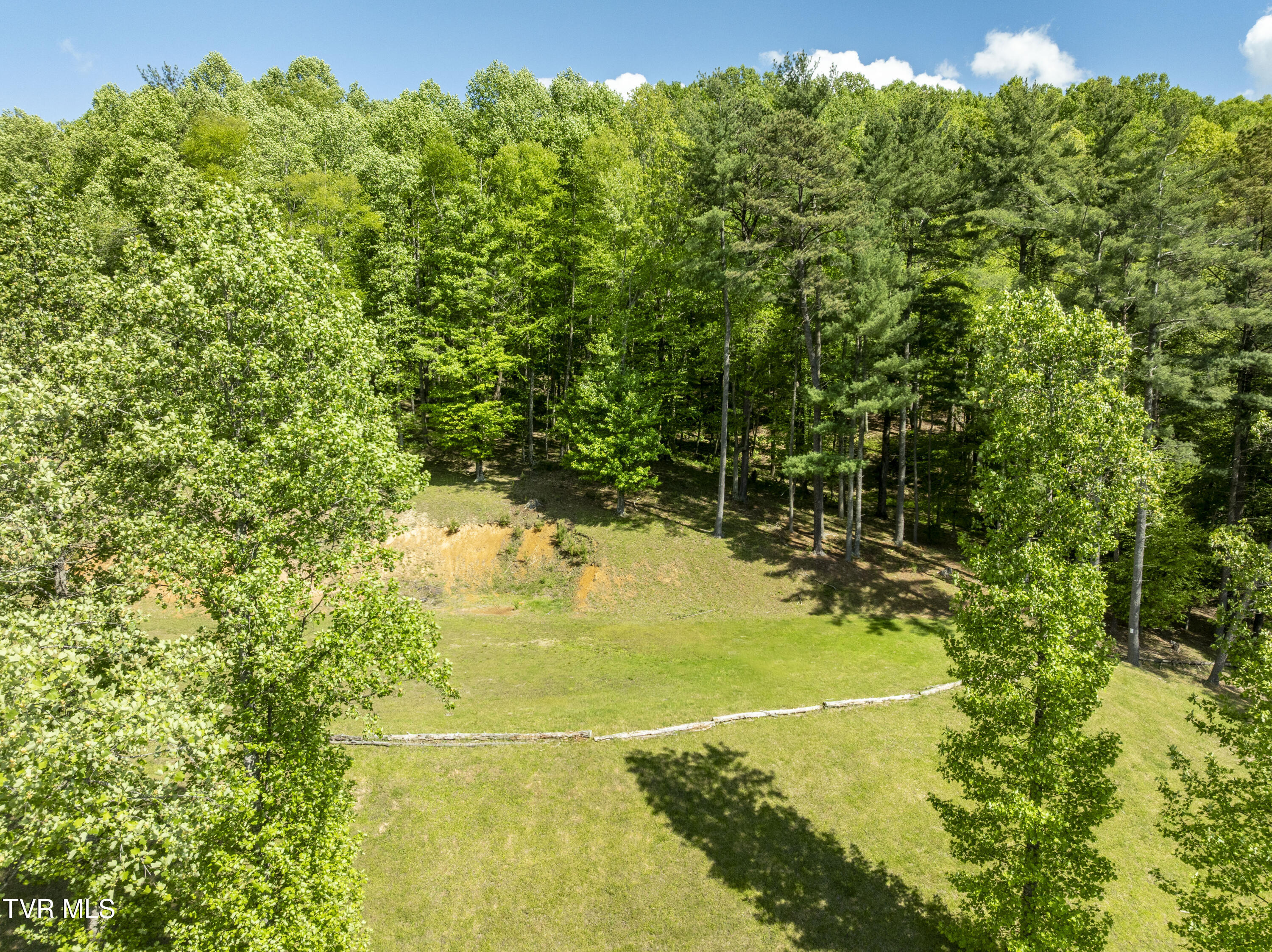 Tbd Big Oak Drive, Butler, Tennessee image 13