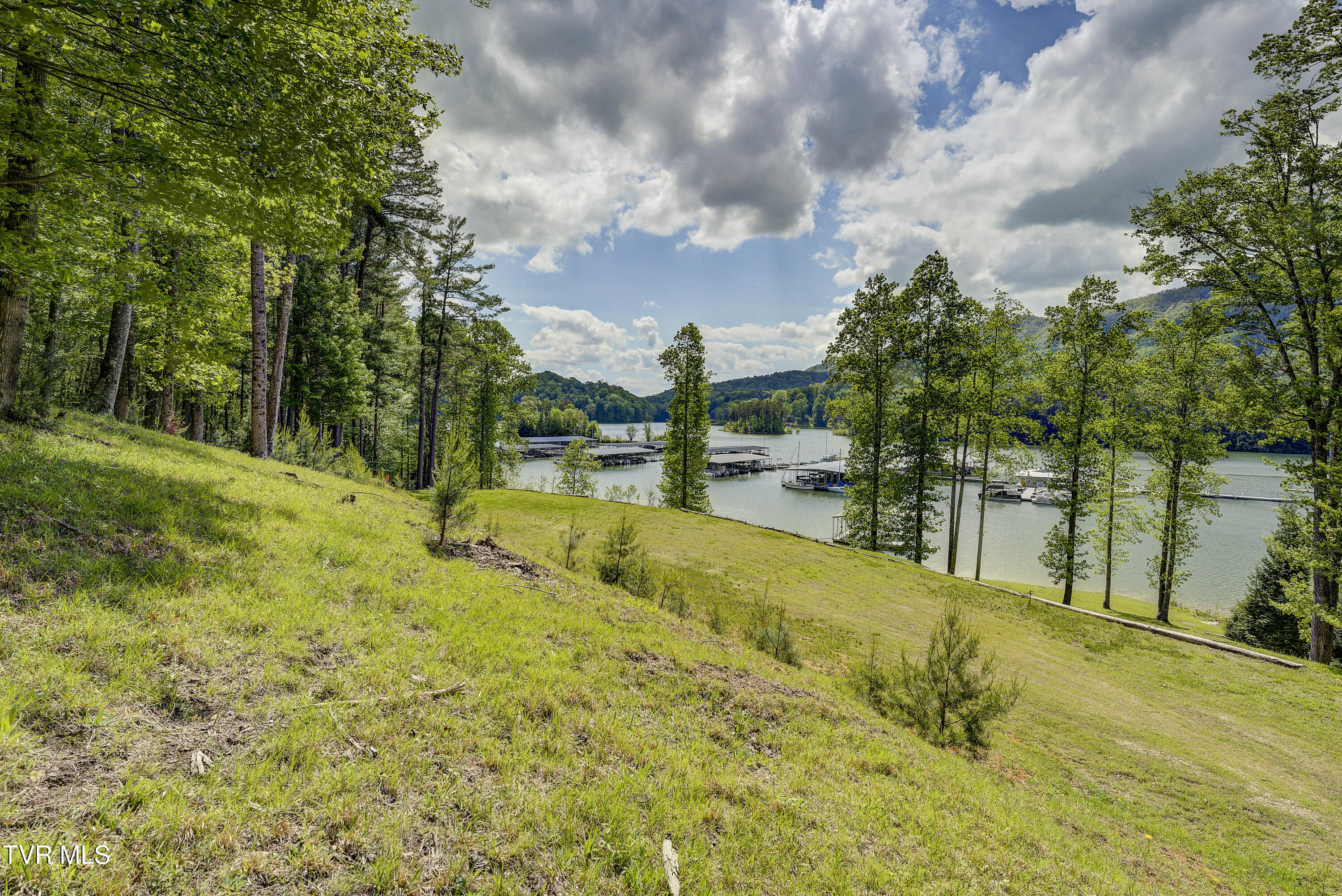 Tbd Big Oak Drive, Butler, Tennessee image 12