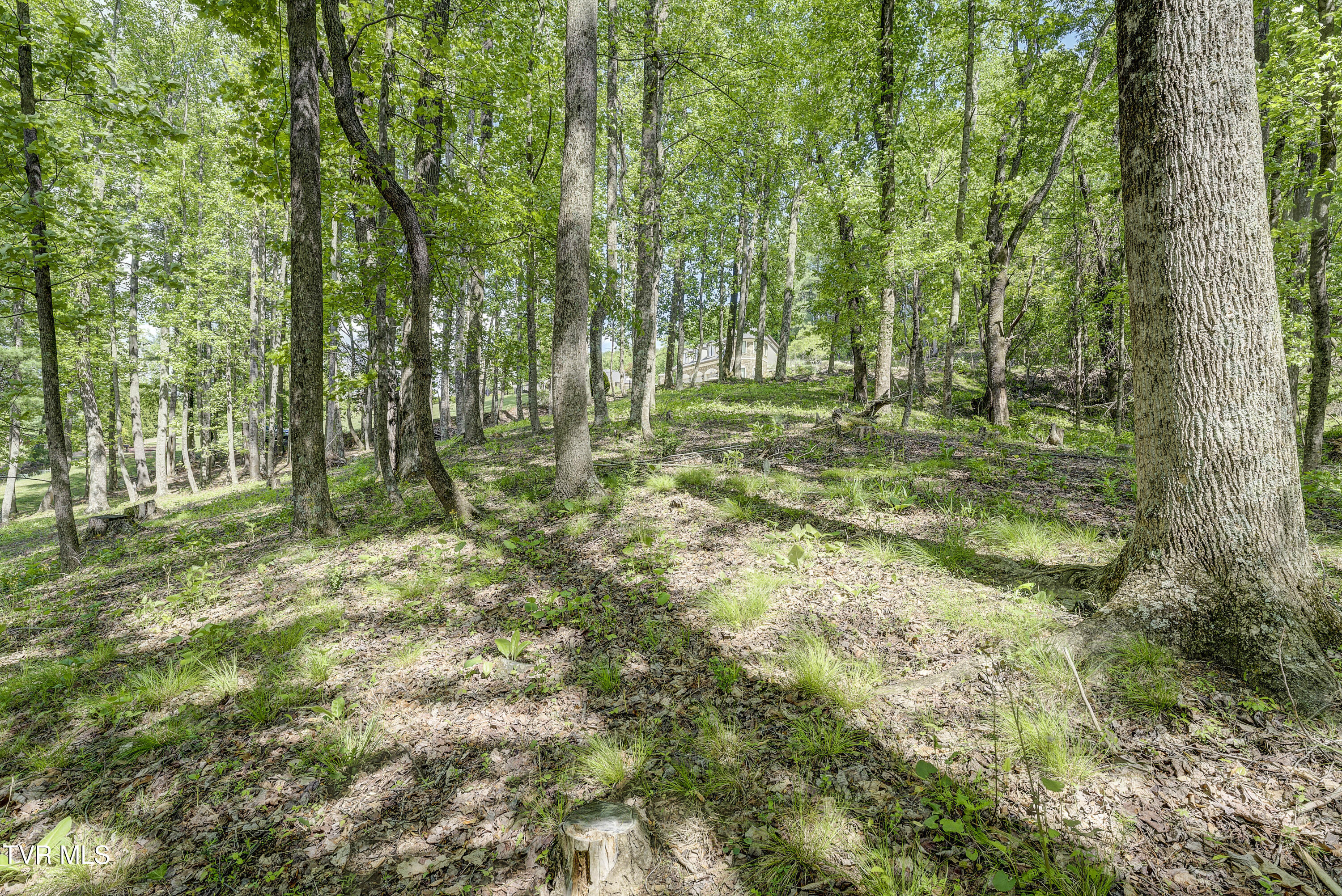 Tbd Big Oak Drive, Butler, Tennessee image 24