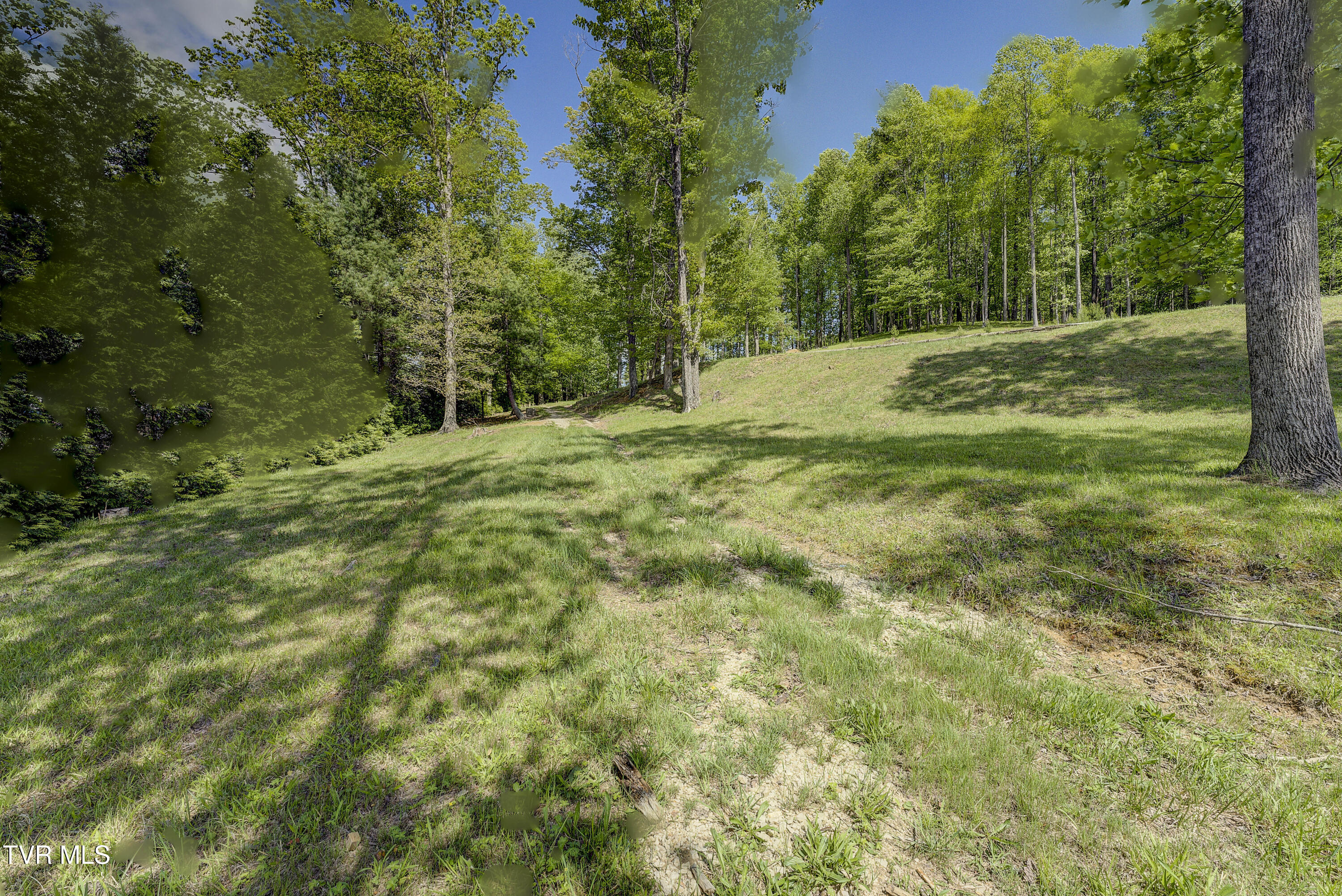Tbd Big Oak Drive, Butler, Tennessee image 23