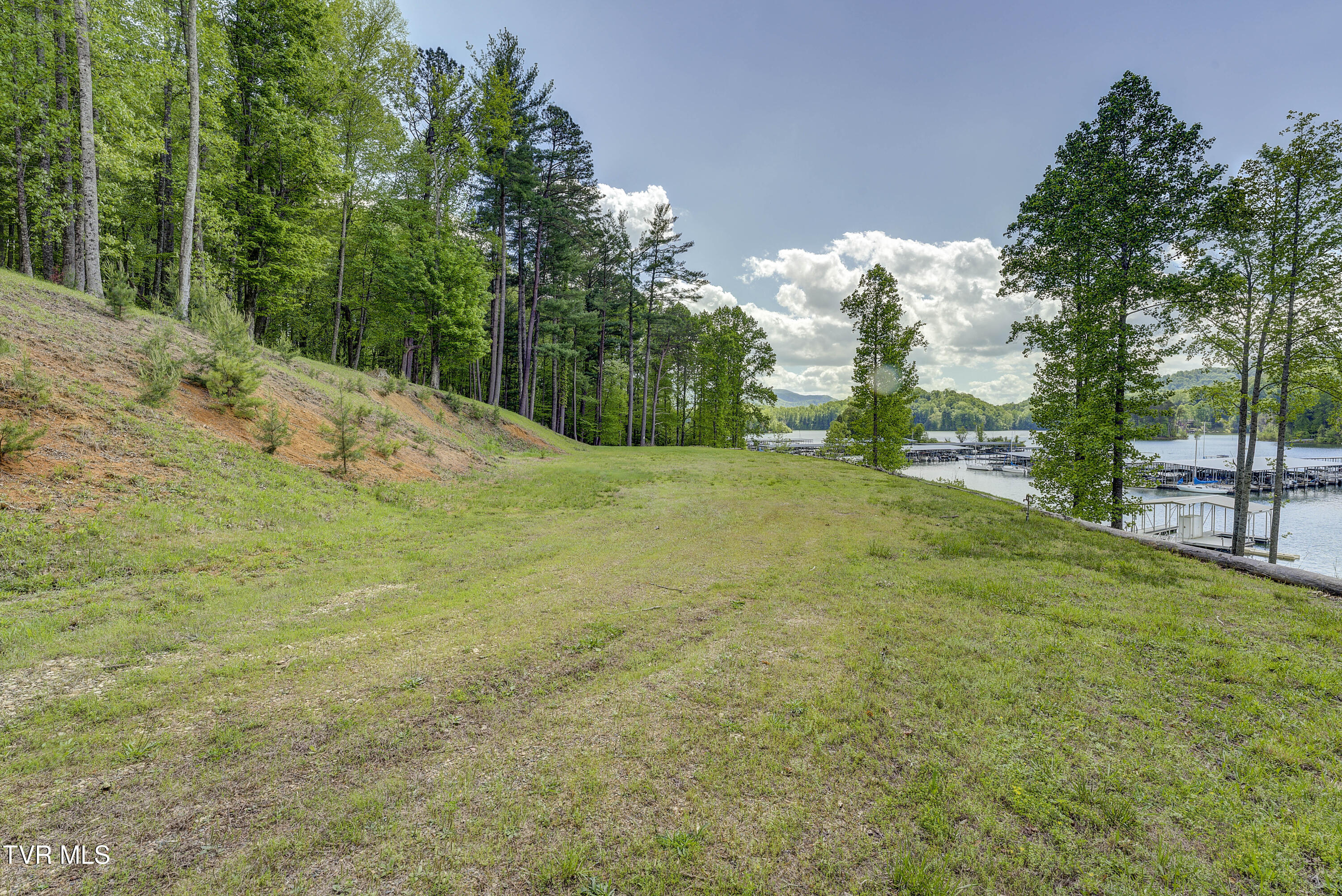 Tbd Big Oak Drive, Butler, Tennessee image 20