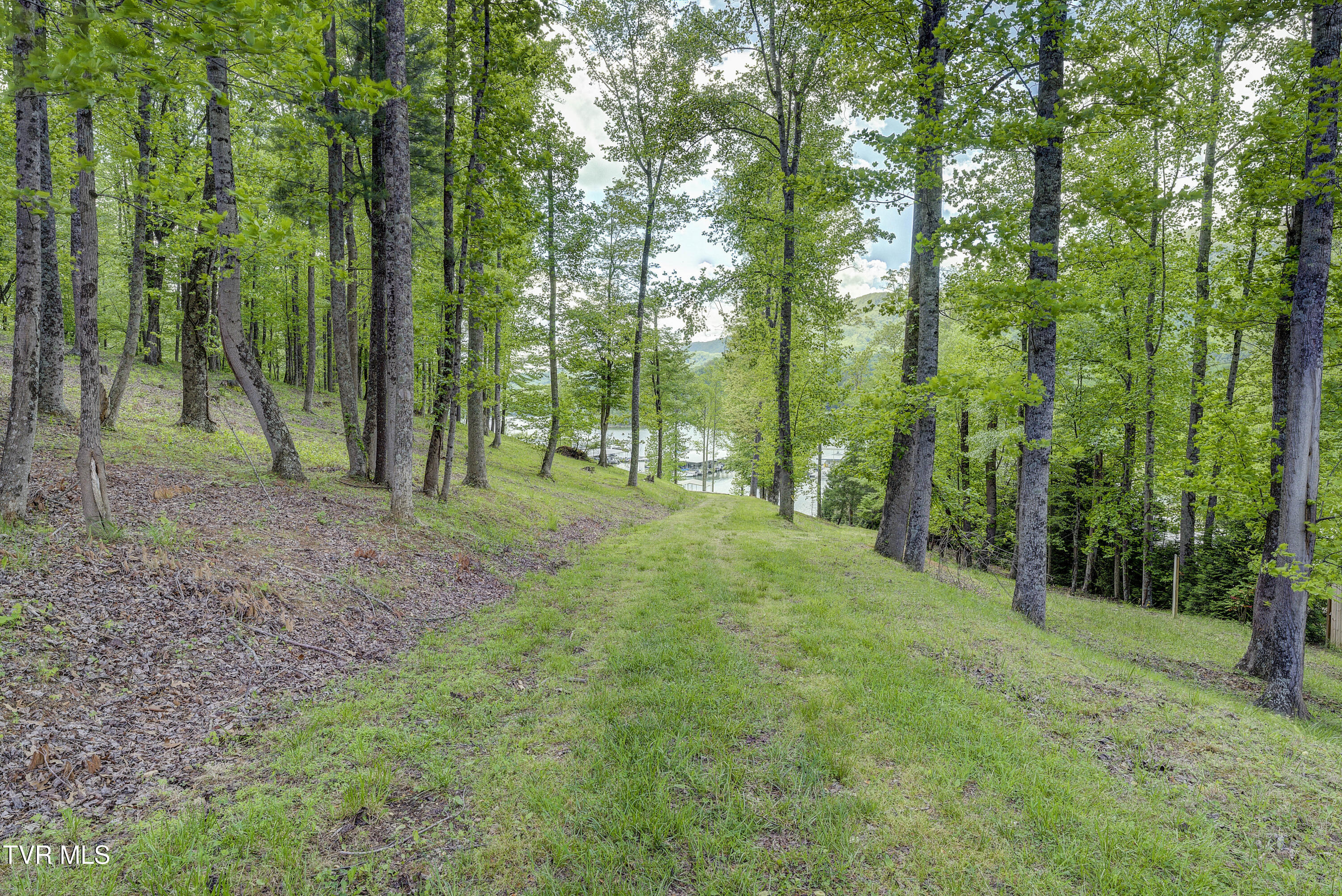 Tbd Big Oak Drive, Butler, Tennessee image 22