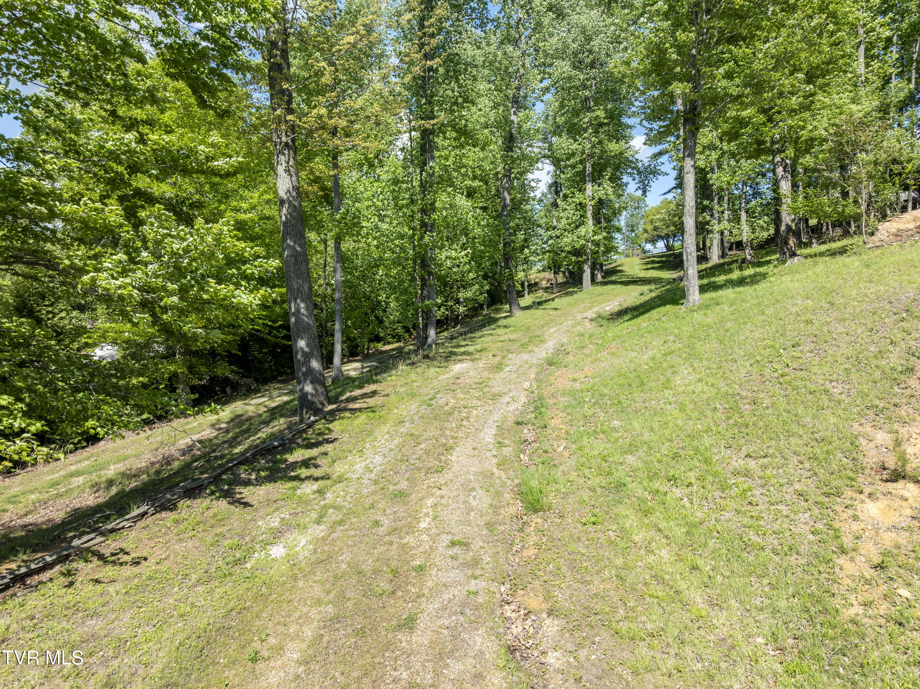 Tbd Big Oak Drive, Butler, Tennessee image 28
