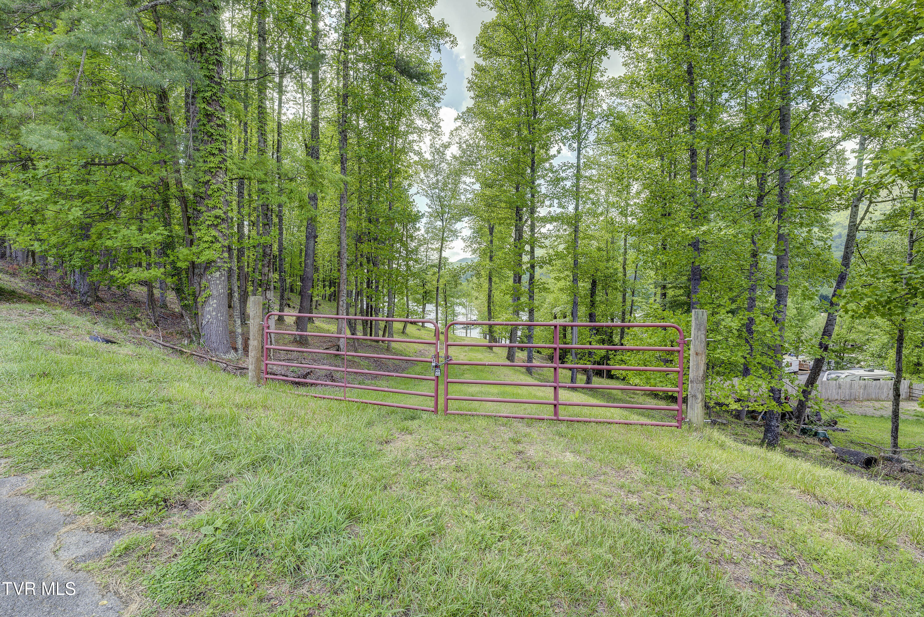 Tbd Big Oak Drive, Butler, Tennessee image 29