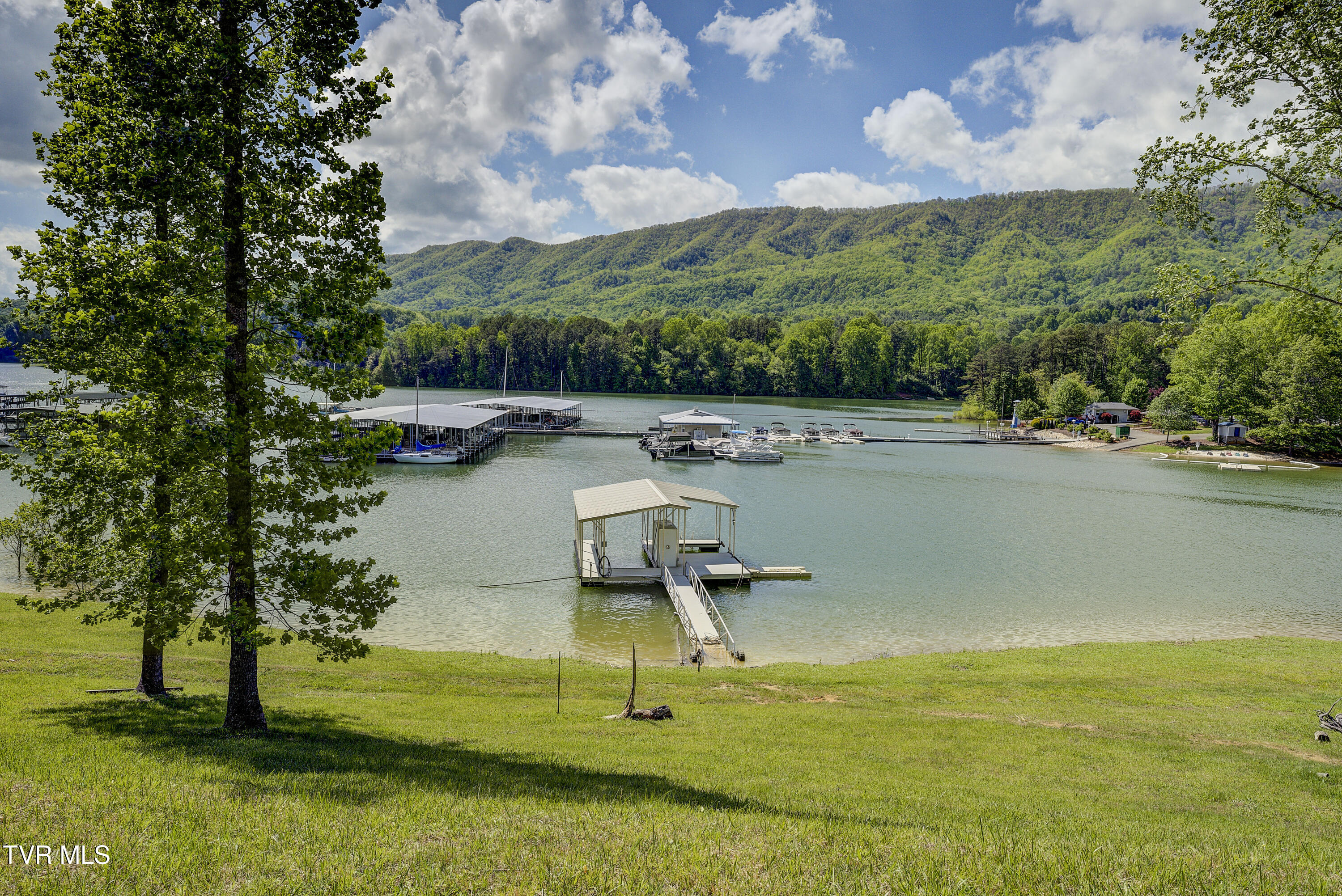 Tbd Big Oak Drive, Butler, Tennessee image 6