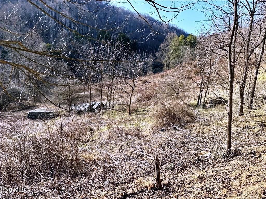 Photo of Tbd Willard Johnson Road, Cove Creek, NC 28692 (MLS # 9991538)