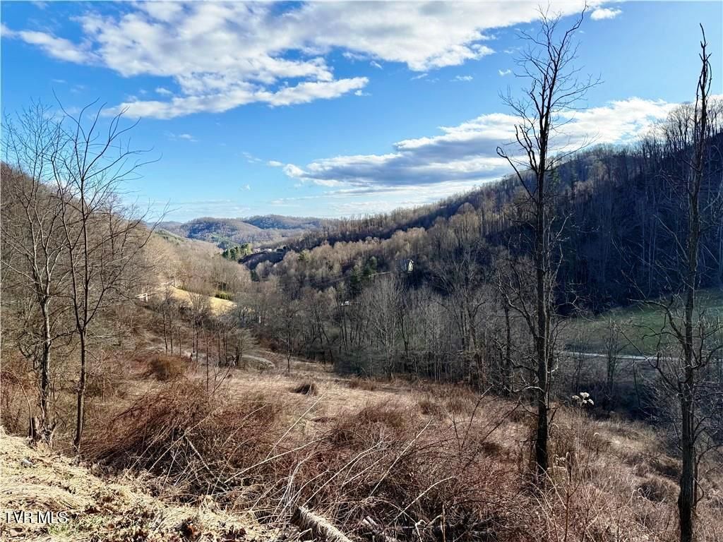 Photo of Tbd Willard Johnson Road, Cove Creek, NC 28692 (MLS # 9991538)