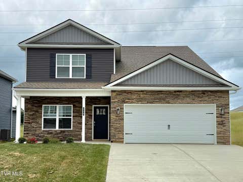 Homes For Sale - 236 Chimney View Loop<br/> Sullivan County County, Blountville, TN 37617