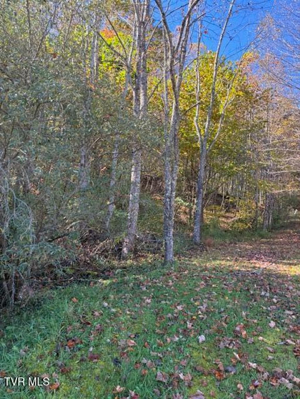 Photo of 0 Country Meadow Drive, Norton, VA 24273 (MLS # 9988265)