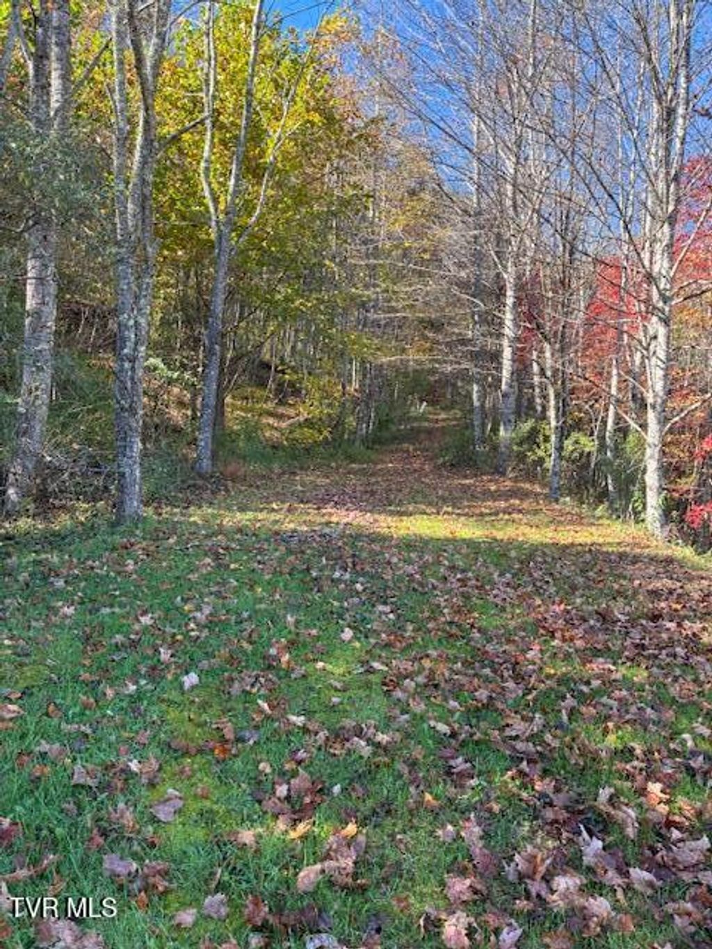 Photo of 0 Country Meadow Drive, Norton, VA 24273 (MLS # 9988265)