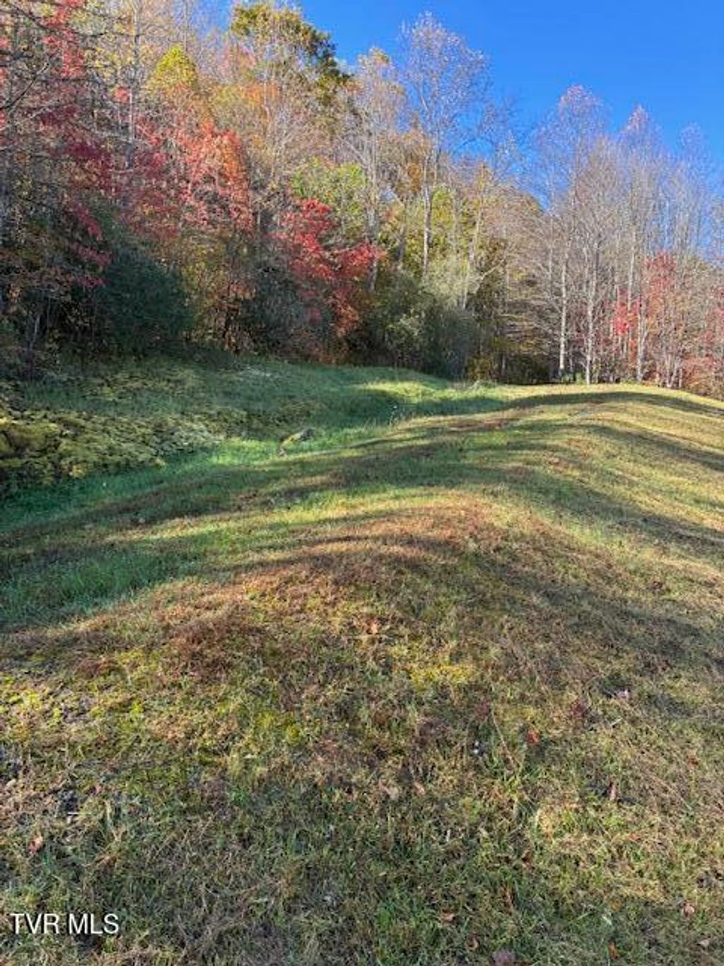 Photo of 0 Country Meadow Drive, Norton, VA 24273 (MLS # 9988265)