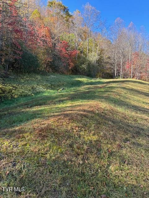 Vacant Land For Sale - Country Meadow Drive<br/> Wise County, Norton, VA 24273