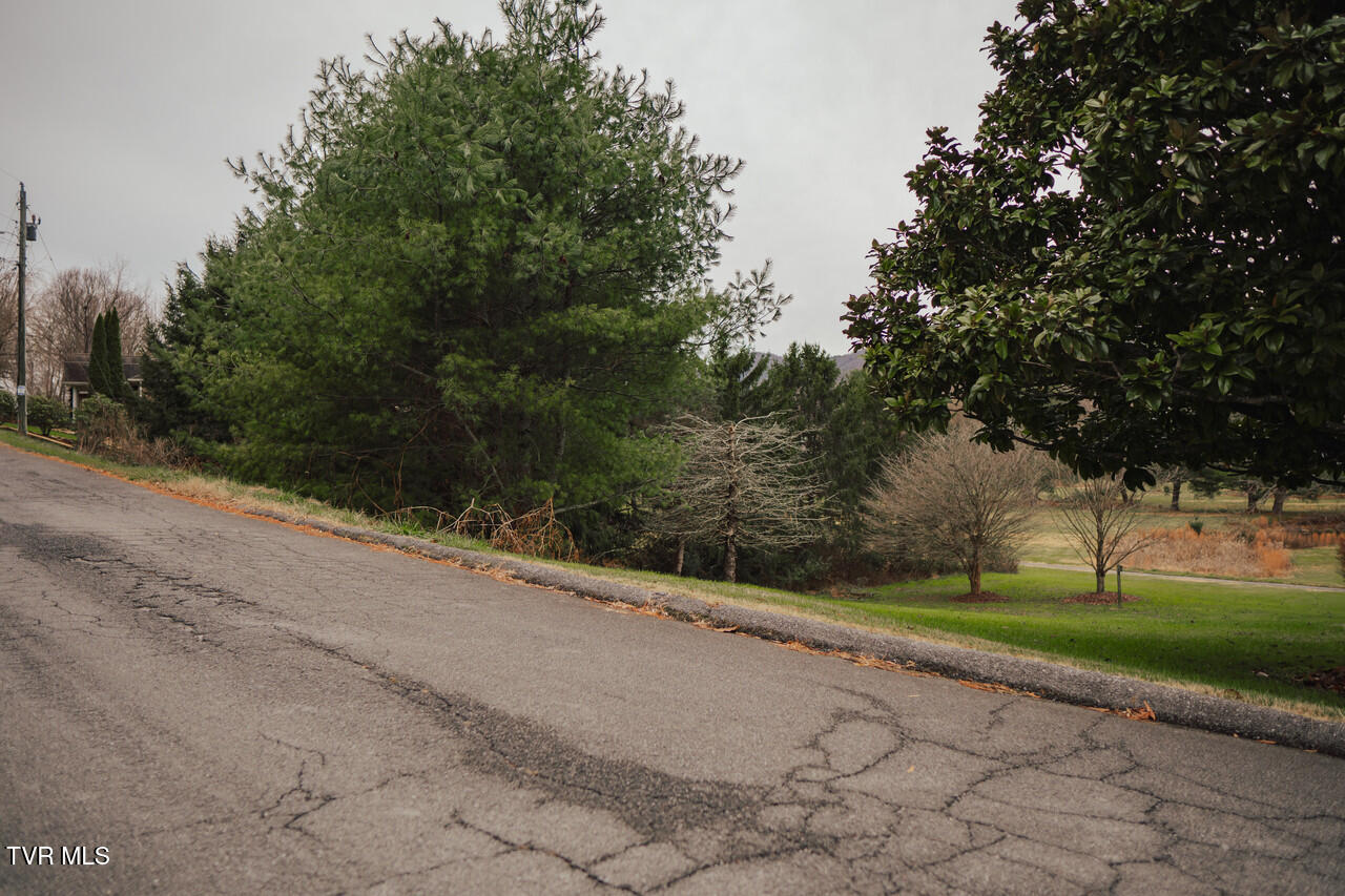 134 Country Club Dr, Unicoi, Tennessee image 34