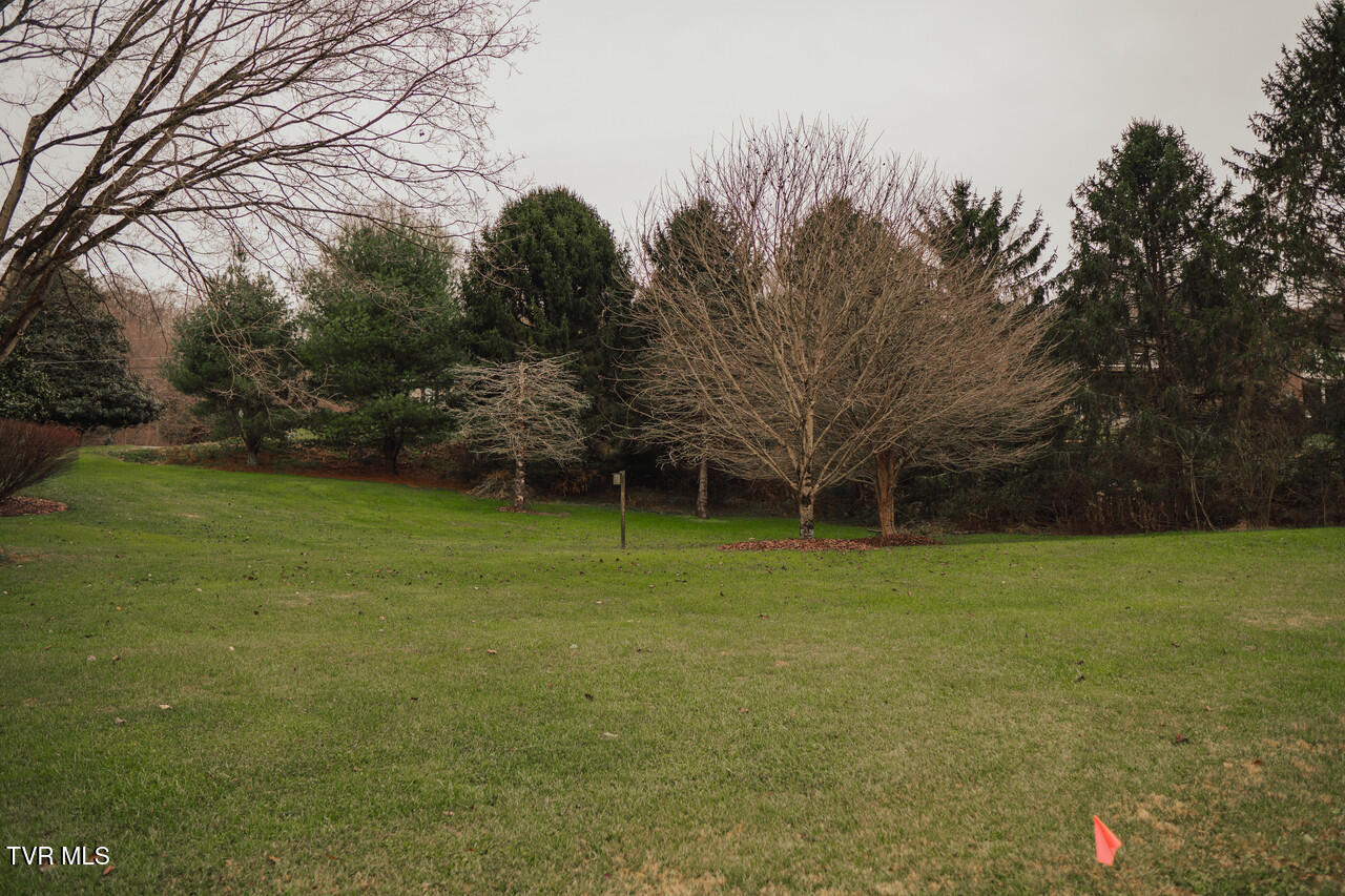 134 Country Club Dr, Unicoi, Tennessee image 20