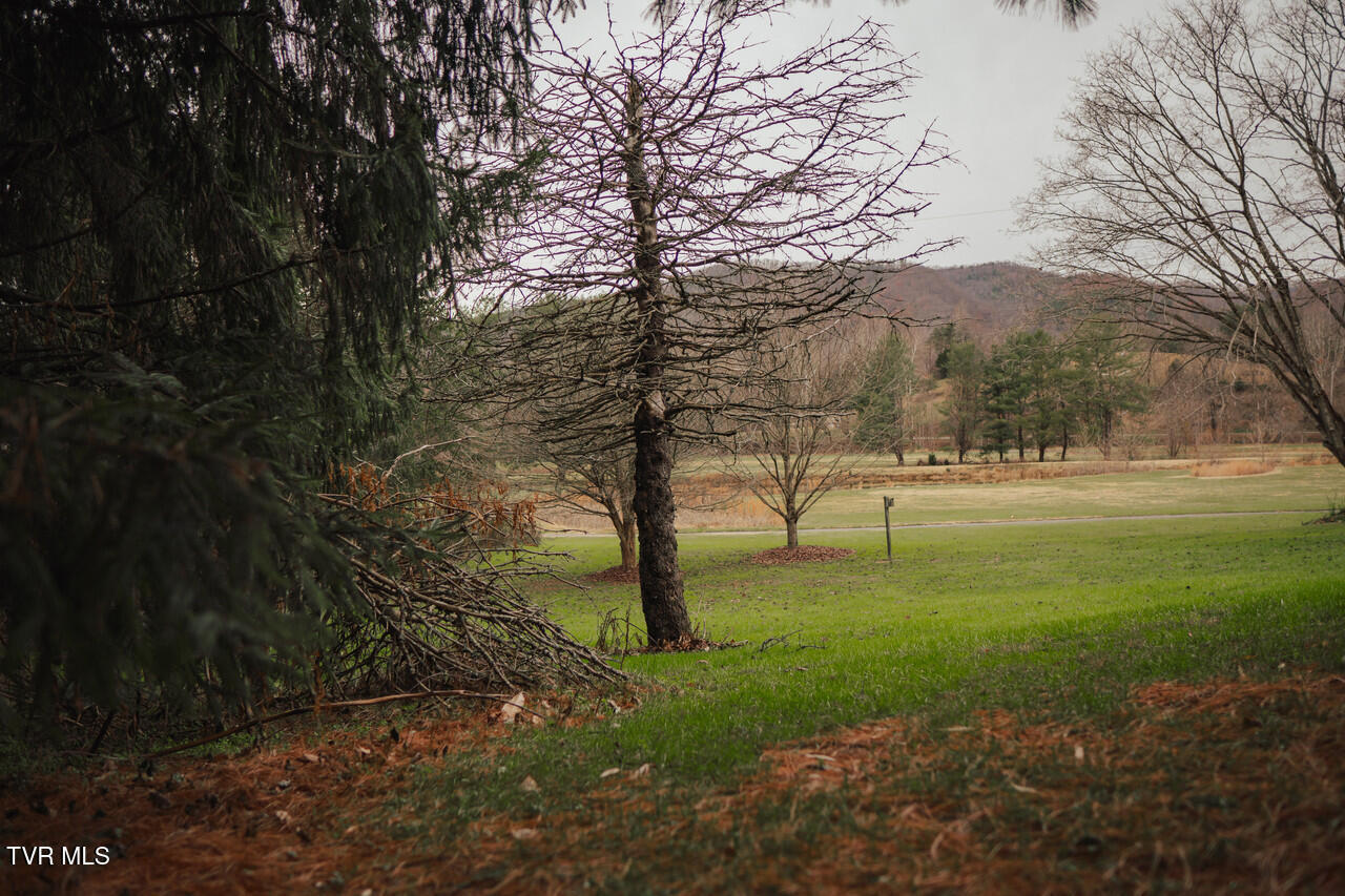134 Country Club Dr, Unicoi, Tennessee image 27