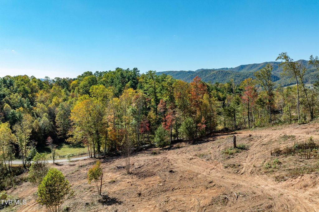 Photo of 000 Tbd Noah Snyder Road, Mountain City, TN 37683 (MLS # 9987651)