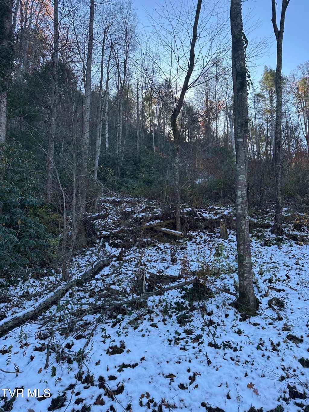 Photo of Tbd Old Hwy Road, Erwin, TN 37650 (MLS # 9988224)