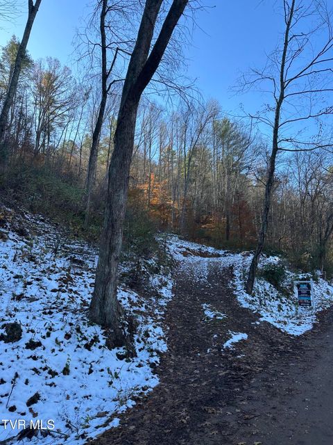 Vacant Land For Sale - TBD Old Hwy Road<br/> Unicoi County, Erwin, TN 37650
