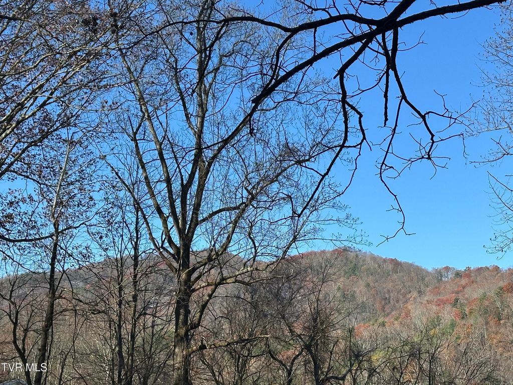 Photo of Tbd Old Hwy Road, Erwin, TN 37650 (MLS # 9988224)