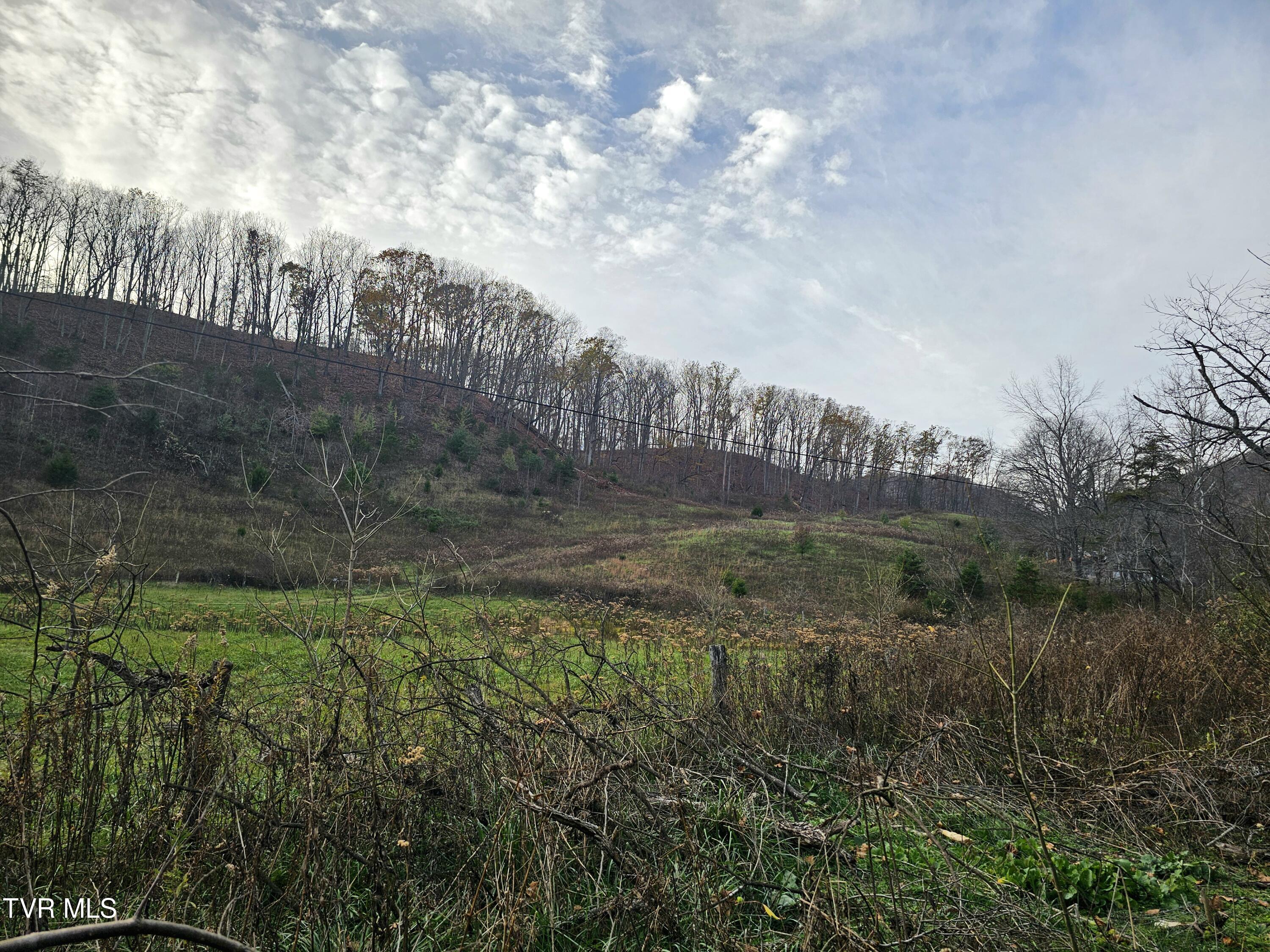 28315 Poor Valley Road Rd, Saltville, Virginia image 10
