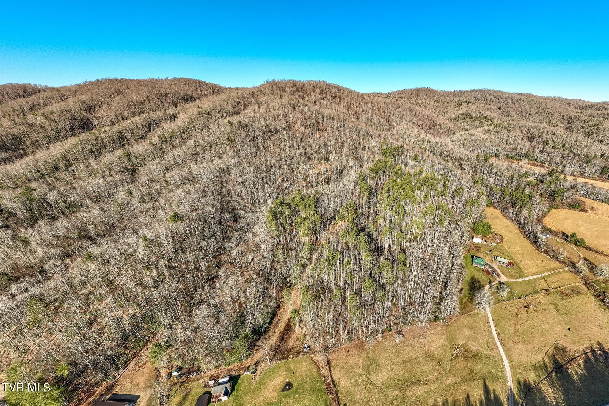 Tbd Of D Payne Road, Mountain City, Tennessee image 11