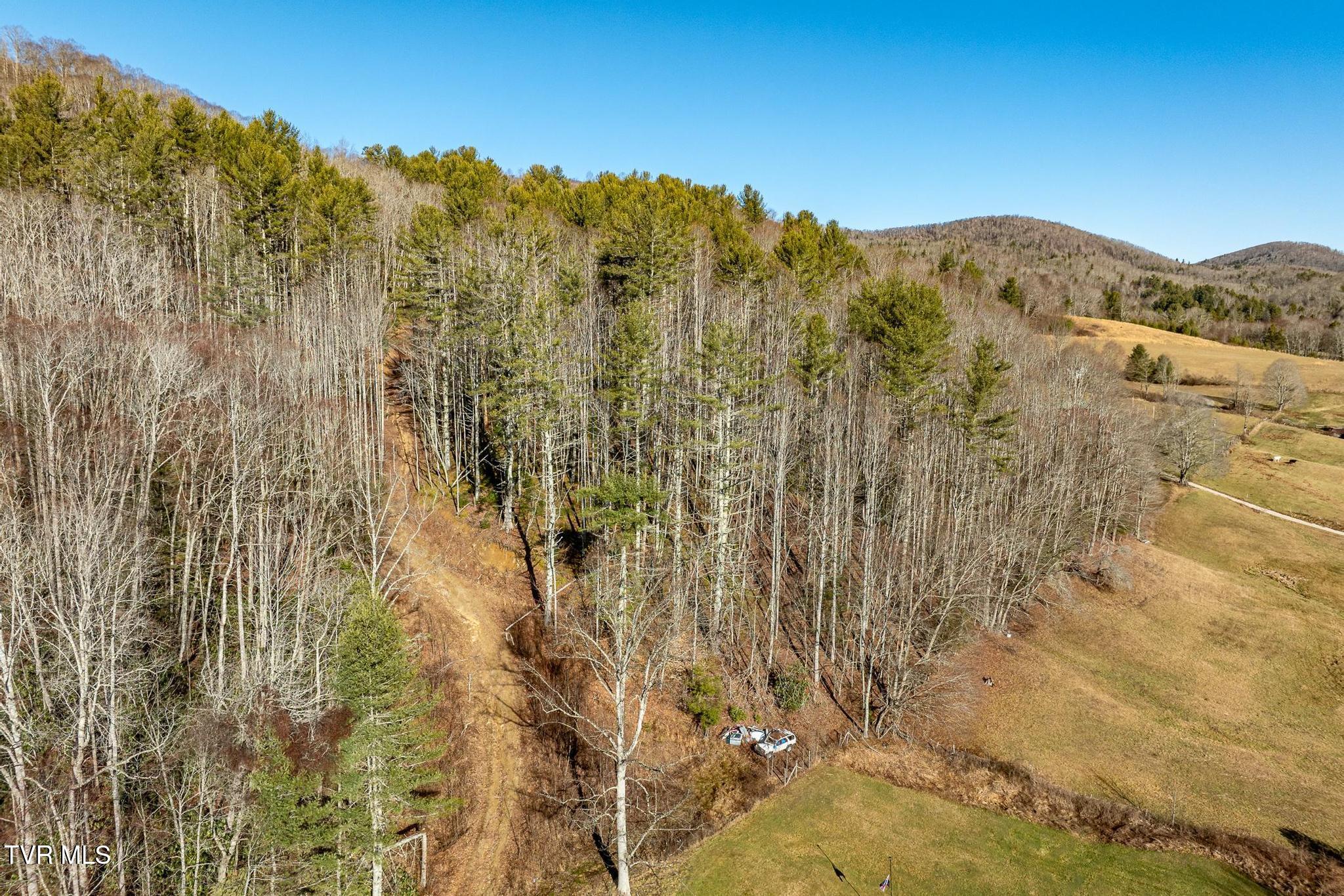 Tbd Of D Payne Road, Mountain City, Tennessee image 14