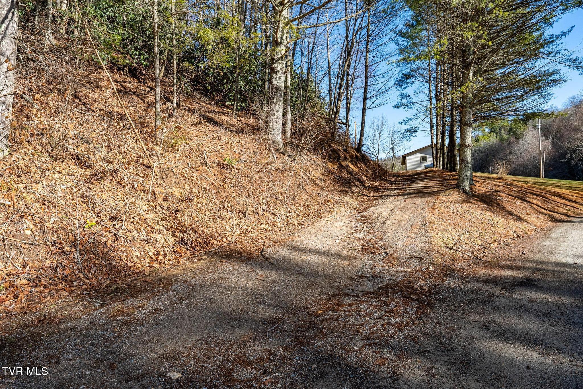 Tbd Of D Payne Road, Mountain City, Tennessee image 24