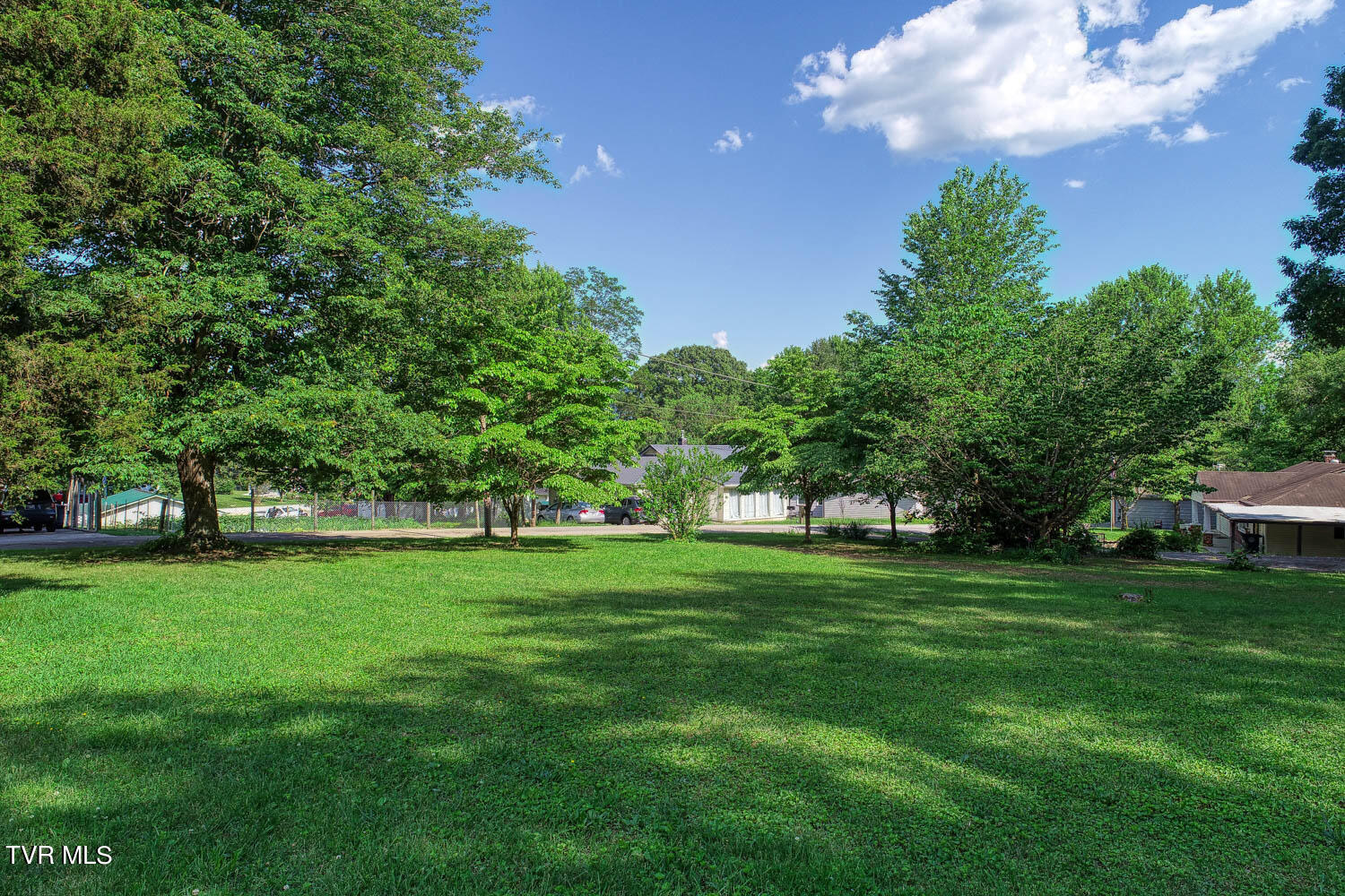 Tbd Ashville Avenue, Mount Carmel, Tennessee image 7