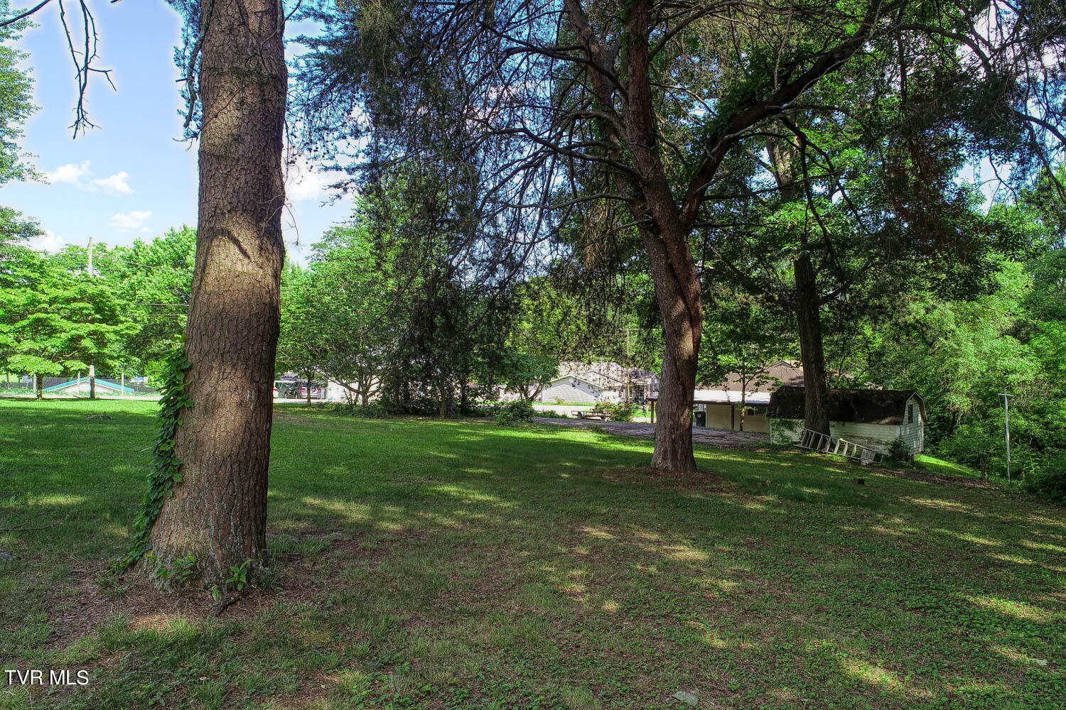 Tbd Ashville Avenue, Mount Carmel, Tennessee image 11