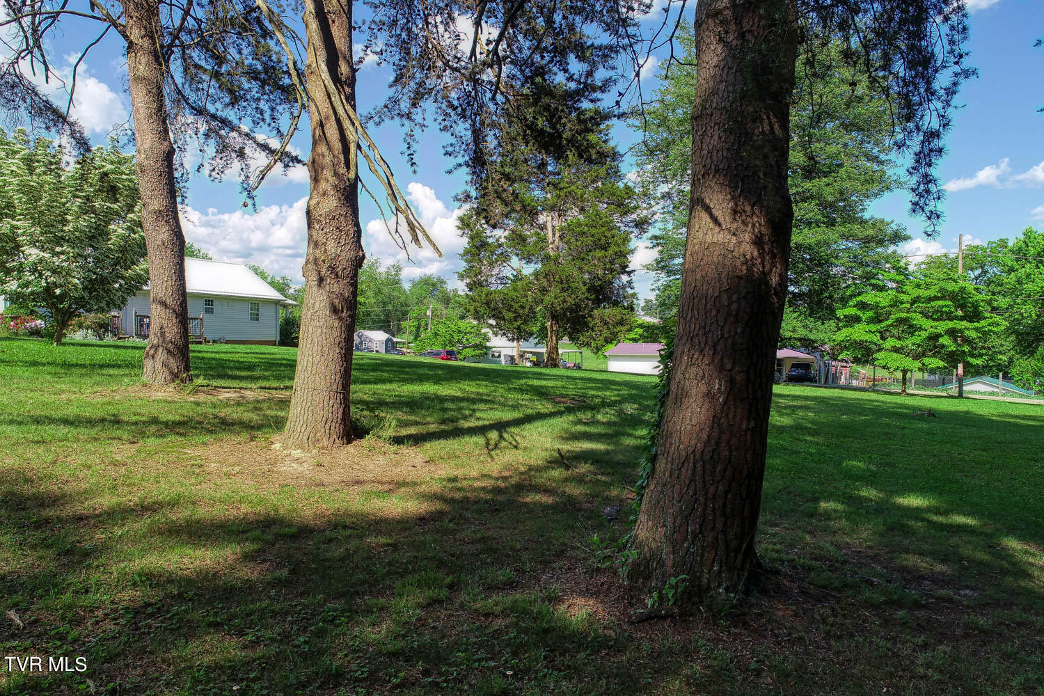 Tbd Ashville Avenue, Mount Carmel, Tennessee image 10