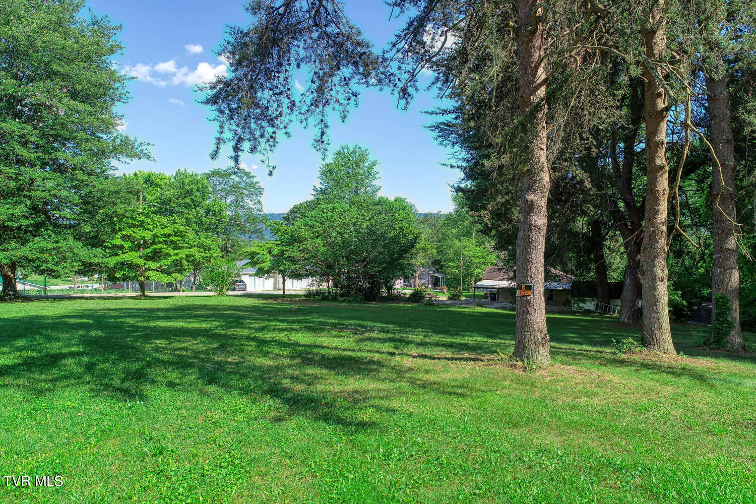 Tbd Ashville Avenue, Mount Carmel, Tennessee image 8