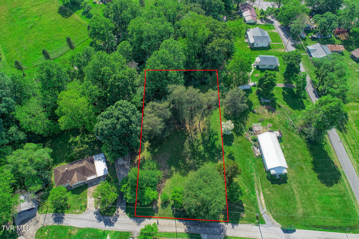 Tbd Ashville Avenue, Mount Carmel, Tennessee image 1