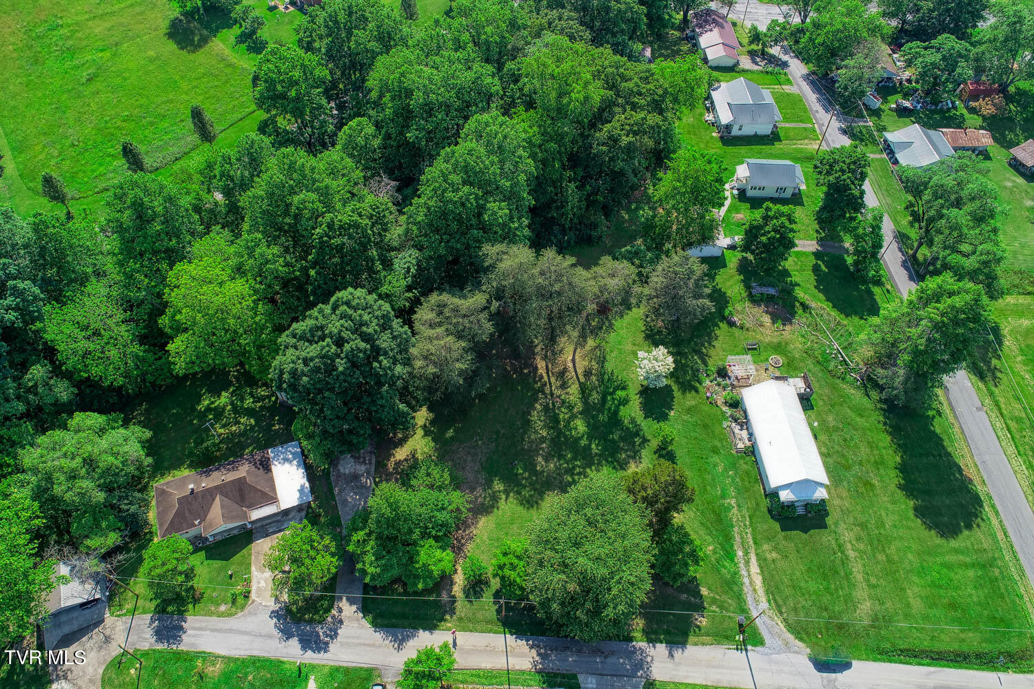Tbd Ashville Avenue, Mount Carmel, Tennessee image 2