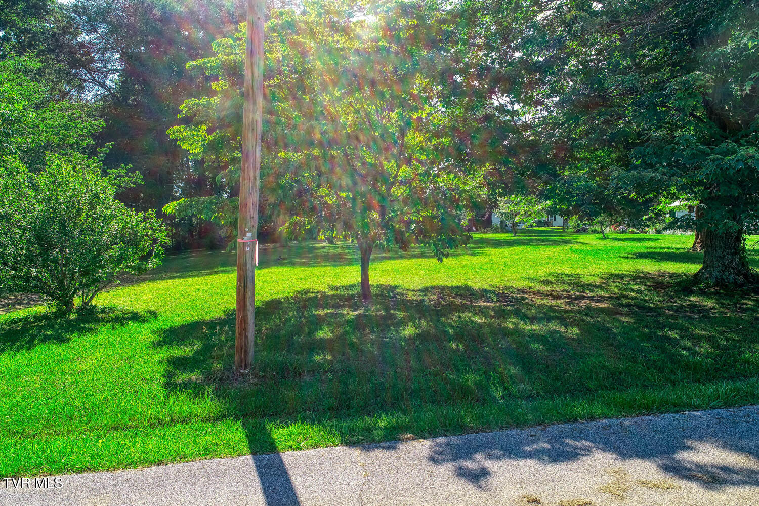 Tbd Ashville Avenue, Mount Carmel, Tennessee image 6