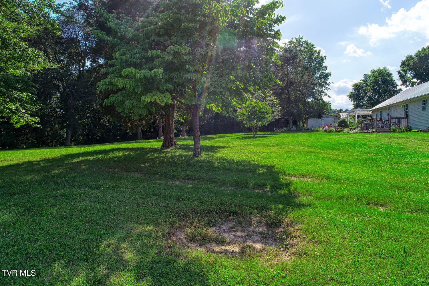Tbd Ashville Avenue, Mount Carmel, Tennessee image 14