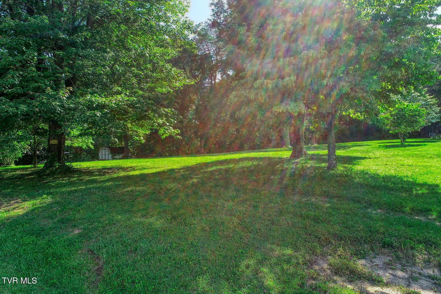 Tbd Ashville Avenue, Mount Carmel, Tennessee image 12