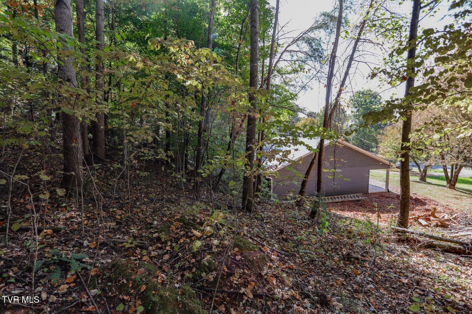 Par. 28.09 Piney Mtn. Rd, Newport, Tennessee image 23