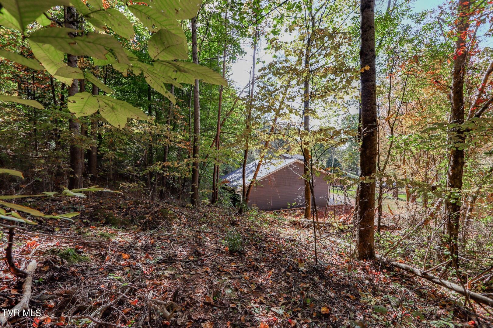 Par. 28.09 Piney Mtn. Rd, Newport, Tennessee image 24