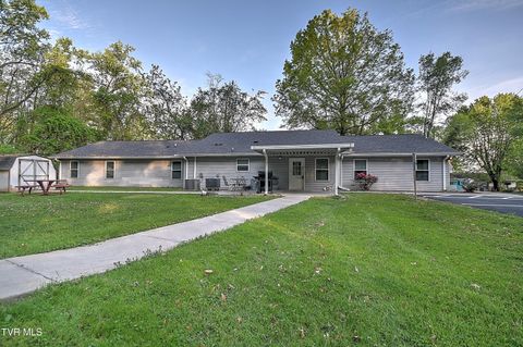 Photo of 1800 Mountain View Avenue, Kingsport, TN 37664 (MLS # 9993911)