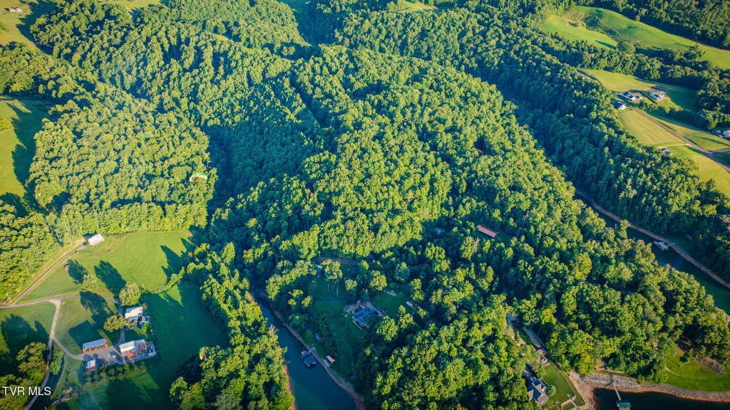 Photo of Tbd Atwood Pt, Butler, TN 37640 (MLS # 9999052)
