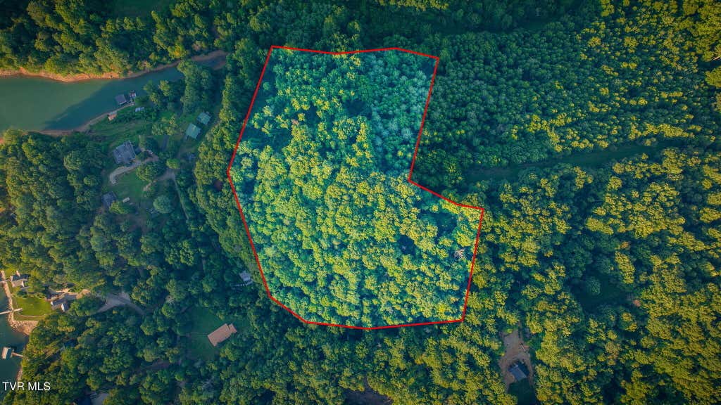 Photo of Tbd Atwood Pt, Butler, TN 37640 (MLS # 9999052)