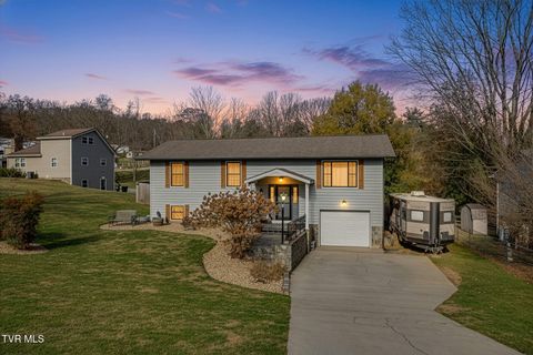 Photo of 107 Summerview Court, Kingsport, TN 37663 (MLS # 9988434)