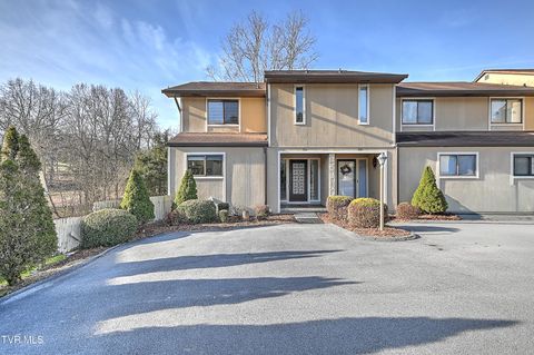 Photo of 605 Redstone Drive #21, Bristol, TN 37620 (MLS # 9989919)