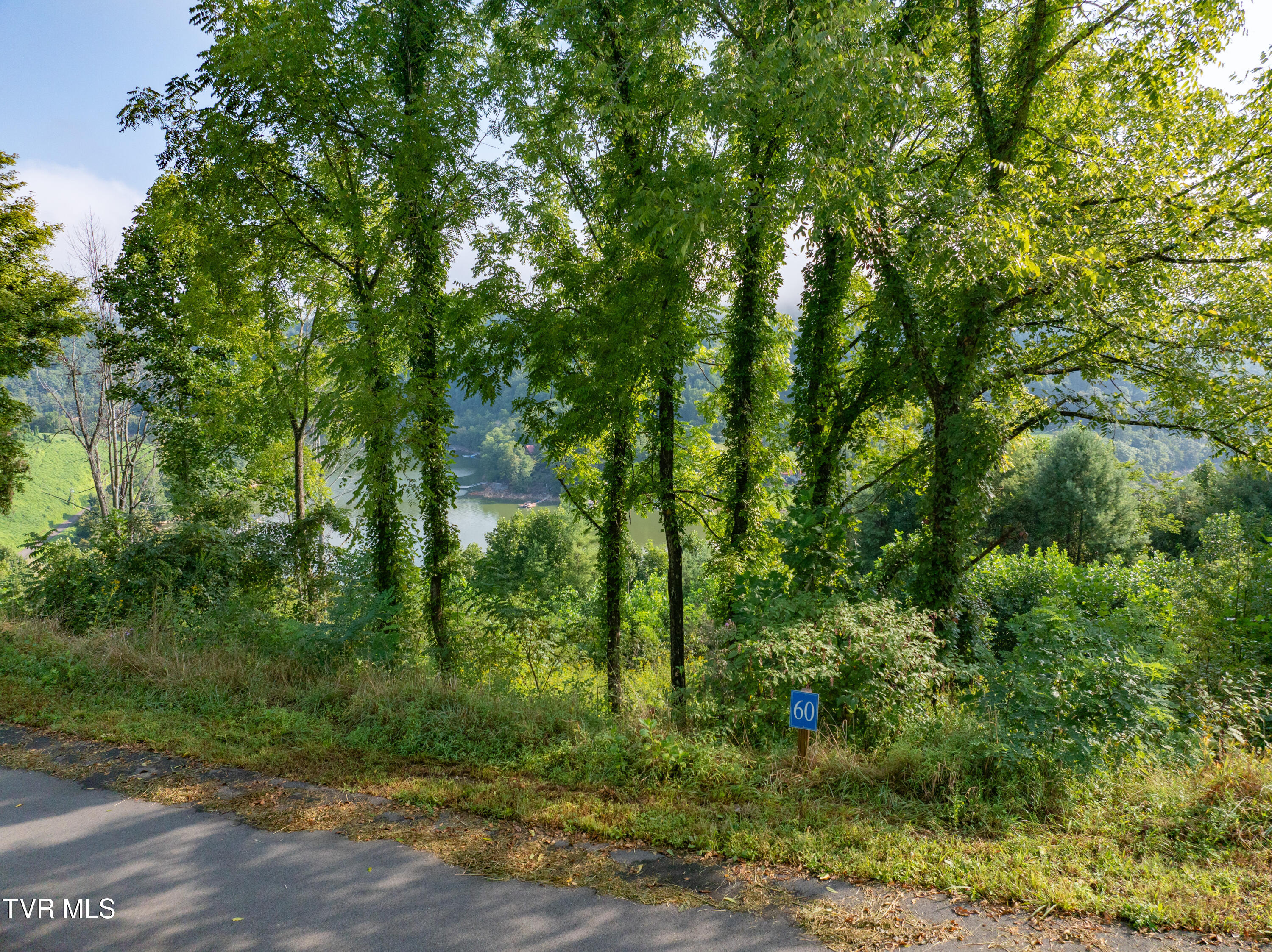 Eb60 Cowan Town Road, Butler, Tennessee image 4