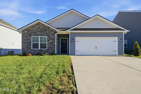 Homes For Sale - 252 Chimney View Loop<br/> Sullivan County County, Blountville, TN 37617