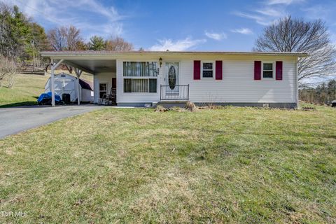 Homes For Sale - 142 Cressview Rd Road<br/> Johnson County, Mountain City, TN 37683