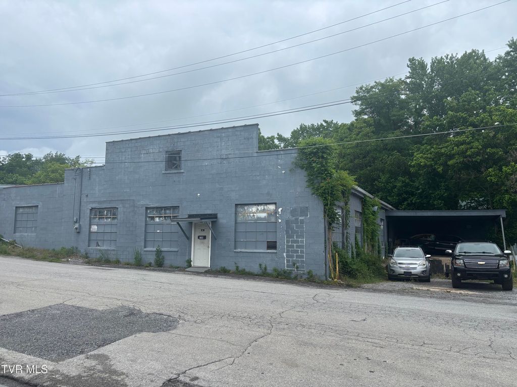 Photo of 108 Hardin Street, Greeneville, TN 37745 (MLS # 9995741)